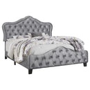 Bella Beds