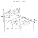 Bella Beds