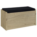 Arrington Shoe Cabinet