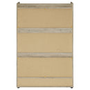 Denia Shoe Cabinet