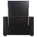 Kenora Dresser with Mirror