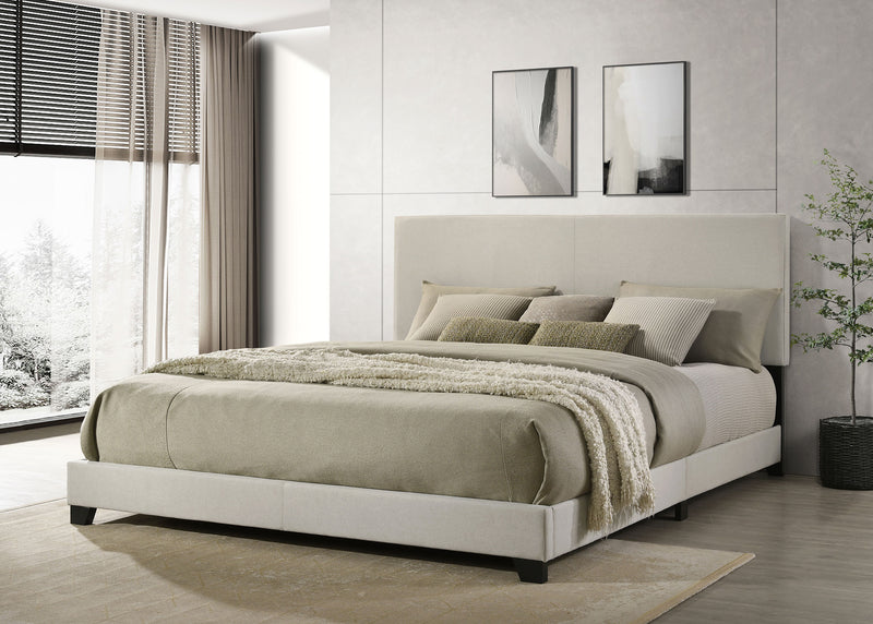 Dorian Beds 2