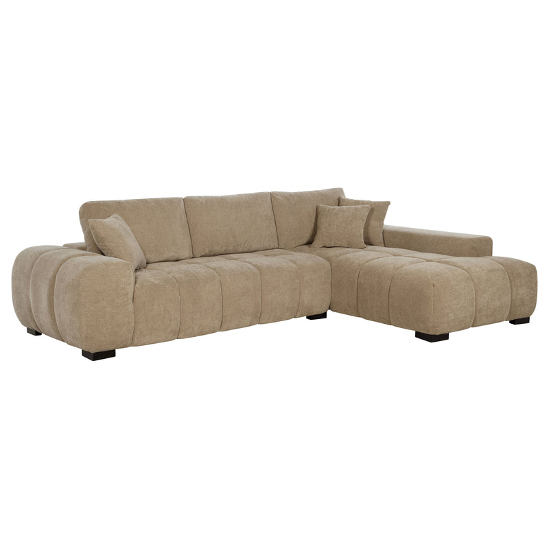 Octavia Stationary Sectionals