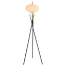 Layton Floor Lamps