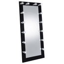 Zayan Floor Mirror with LED Lighting