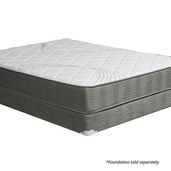 EDREA White/Gray 10" Tight Top Pocket Coil, Full