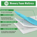 Coreopsis 10" Queen Memory Foam Wave Comfort - Winder Mattress & Furniture