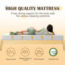Forsythia 8" Queen Green Tea Gel Memory Foam - Winder Mattress & Furniture