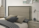 Rainier Bed Gray