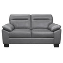 Denizen Loveseat in Dark Gray 9537DGY-2