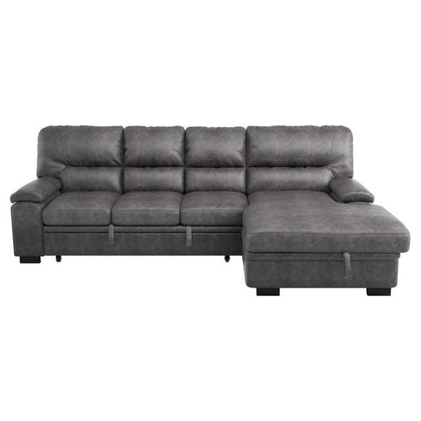 Michigan Sectional with Pull Out Bed and Right Chaise in Dark Gray 9407DG*2RC3L image