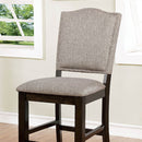 Teagan Counter Ht. Chair (2/Ctn)