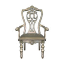 Catalonia Arm Chair in Platinum Gold (Set of 2)