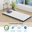 Hollyhock 3" Twin XL Tri-Fold Memory Foam Topper