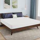 Nasturtium 8" E.King Bamboo Charcoal Infused Memory Foam