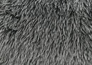 Darwen Swivel Chair